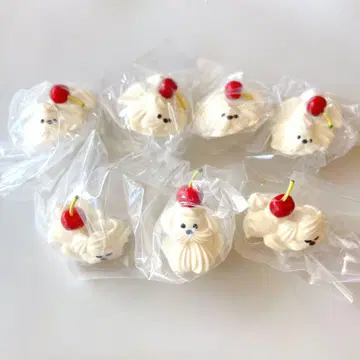 [익명 배송] 휘핑 강아지의 생활