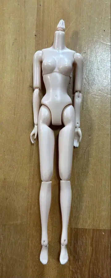 momoko petworks 바디 ccs 간지25 새상품 제니 유노라