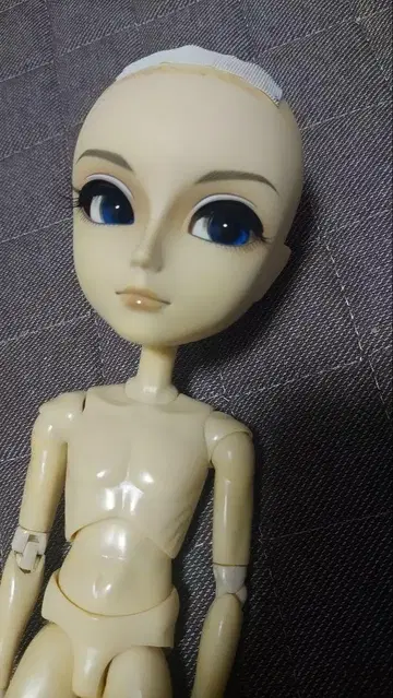 풀립 태양 리드 소체