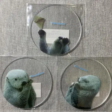 토바 수족관 메이 키라 코스터 3점