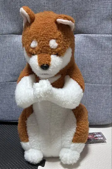 합장 봉제인형 시바견 새상품 익명 배송 봉제인형 합장