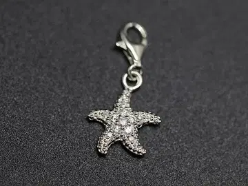 ThomasSabo 토마스사보 참 SV925 불가사리