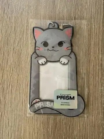 김명수 PRISM 트레이딩 카드 케이스 INFINITE 엘