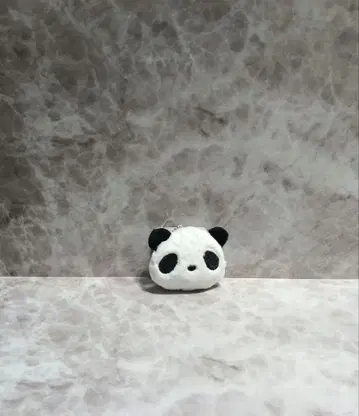 (타카 님)