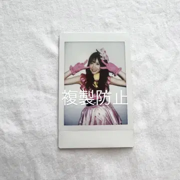 사쿠라이 유이 란체키