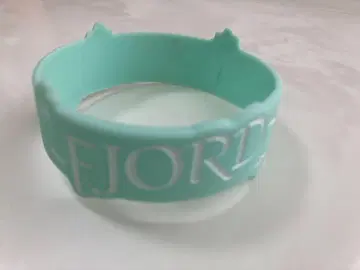 Mrs.GREEN APPLE 미세스 FJORD 피요르드 러버 밴드 1