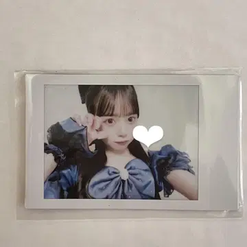 마스다 아야노 생탄 온특 빙고 폴라로이드