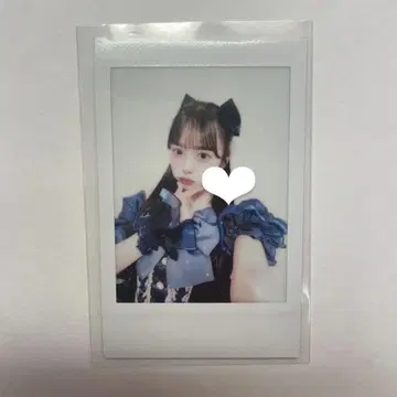 마스다 아야노 생탄 온특 빙고 폴라로이드