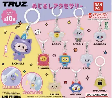 TRUZ 메지루시 액세서리 총 10종 컴플리트 세트 treasure