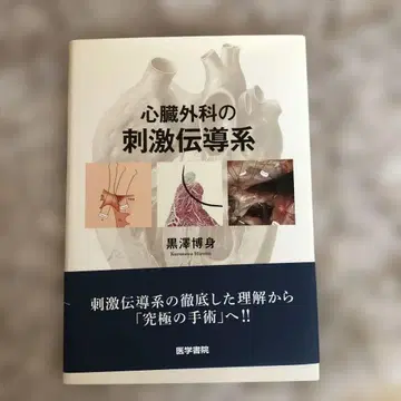 심장 외과의 자극 전도계