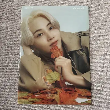SEVENTEEN Ode to You JEONGHAN 클리어 포스터