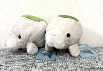 파이널 판타지 XIV 데스크탑 봉제 인형 쁘띠프누 티 2개