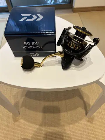 다이와 BG SW 5000D-CXH
