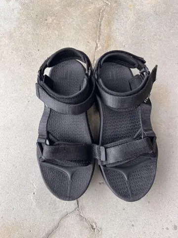 새상품 테릭 올 로즈 25cm 블랙