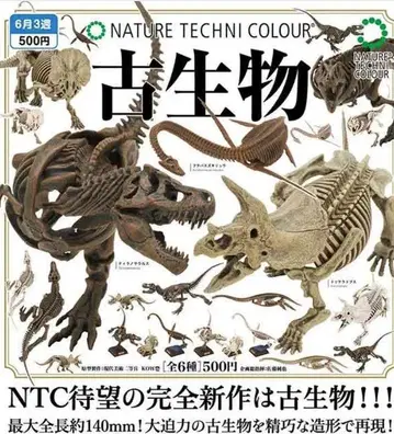 총 6종 네이처 테크니컬러 NTC 고생물 1