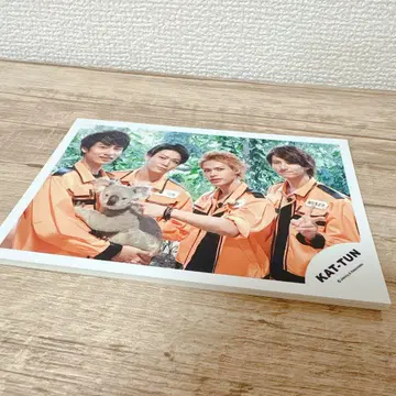KAT-TUN 공식 사진 20매 세트 단체