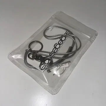 sagegasage 목걸이 시즈니룩 실버 한국