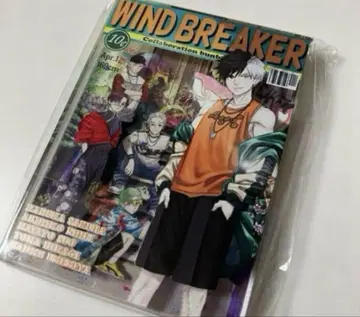 WIND BREAKER 윈드브레이커 문구 카페 아크릴 블록 사쿠라 하루카
