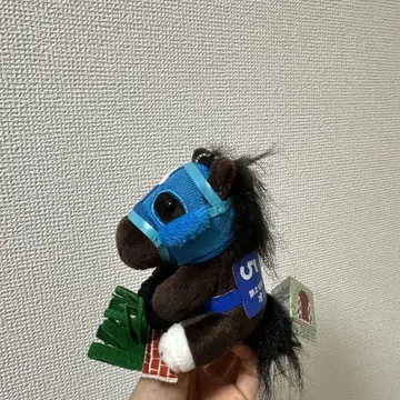 제21회 나카야마 그랜드 점프 오쥬쵸산 아이돌 호스