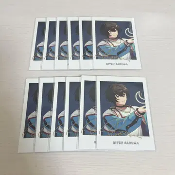 사쿠마 리츠 파샤츠
