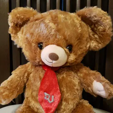 유니베어시티 봉제 인형 모카