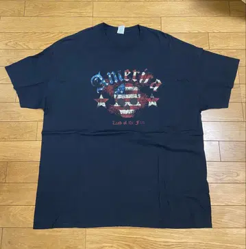 미국 국기 디자인 T셔츠 2XL