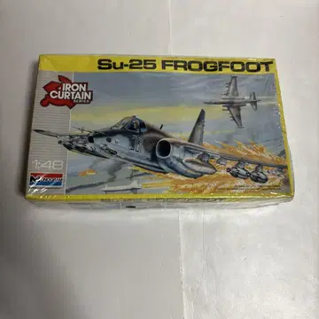 Su-25 FROGFOOT 1/48 Iron Curtain