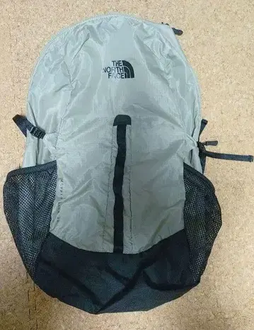 THE NORTH FACE 마운틴 팩 22L