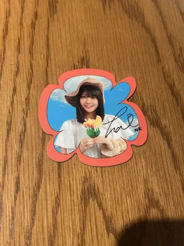 도미사토 나오 마그넷
