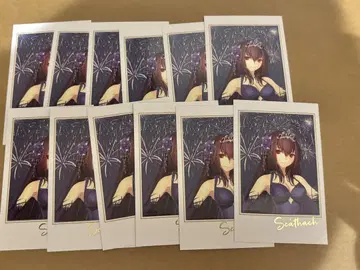 Fate FGO 페스 포트레이트 스카사하