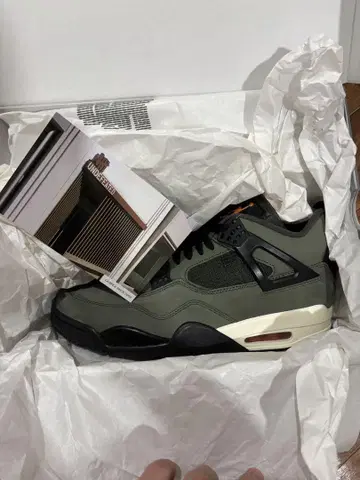Air Jordan 4 Retro