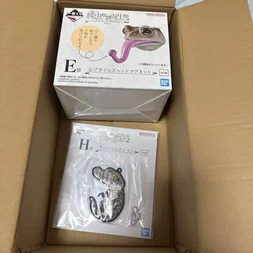 1번 복권 파충류&양서류 2 E상 마그넷 미야코히키가엘 덤 있음
