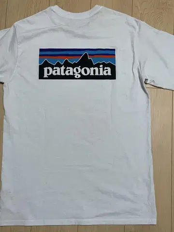 patagonia 화이트 T셔츠