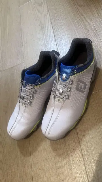 FootJoy 골프화 화이트/블루/그린