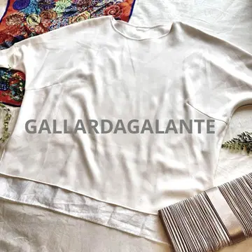 새상품급 GALLARDAGALANTE 하프 조젯 콤비 블라우스 놈코어