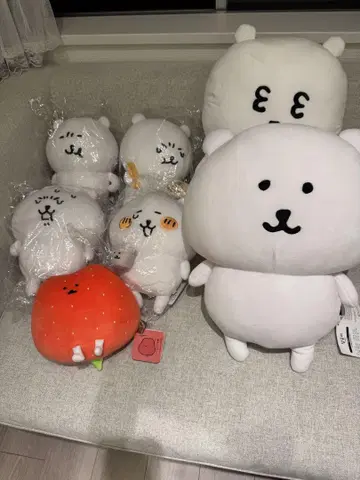 나가노 마켓 농담곰 묶음 판매