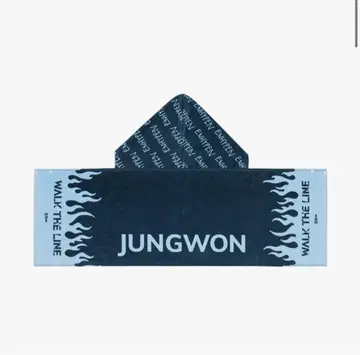 JUNGWON WALK THE LINE 후드 타월