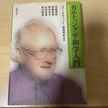 갈퉁 평화학 입문