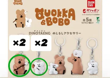 QUOKKA&BOBO DINOTAENG 메지루시 액세서리 4개 세트