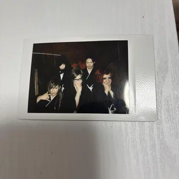 R 지정 단체 폴라로이드