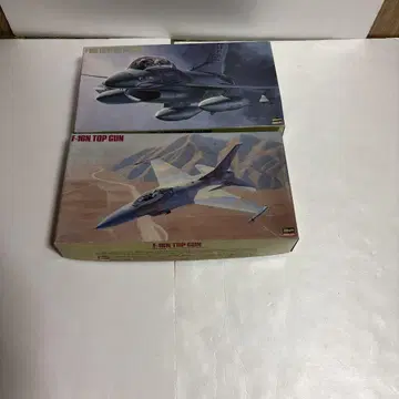 F-16N TOP GUN & F-16D FIGHTING FALCON