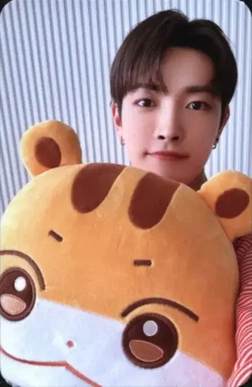 ATEEZ 쿠션 HONG JOONG ANITEEZ IN ICE CITY