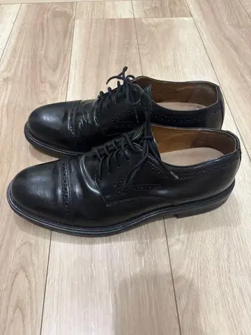 보스토니안 세미 브로그 28cm