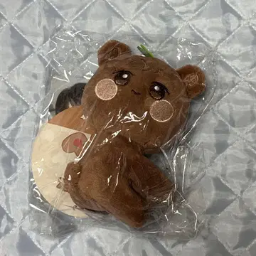 [일본 한정] ATEEZ 봉제 인형 포토 카드 홀더 종호 종베어