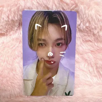 AHOF 슈아이보 트레이딩 카드