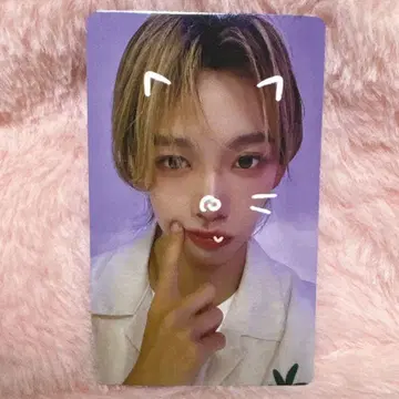 AHOF 트레이딩 카드 슈아이보