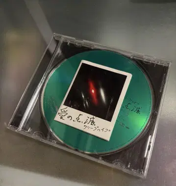크리프하이프 사랑의 점멸 청반 CD