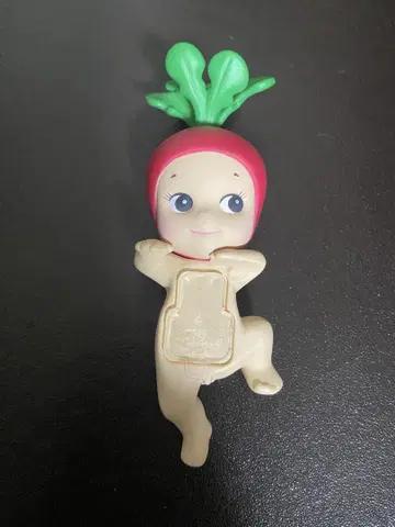 히퍼스 라디쉬