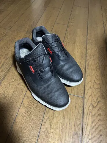 FootJoy Pro SL 골프화 블랙