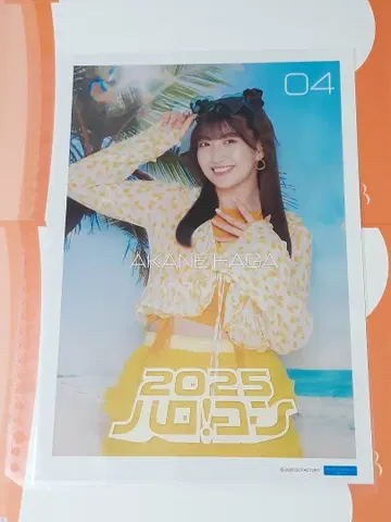 하가 아카네 Hello! 콘 2025 컬렉션 핀업 포스터